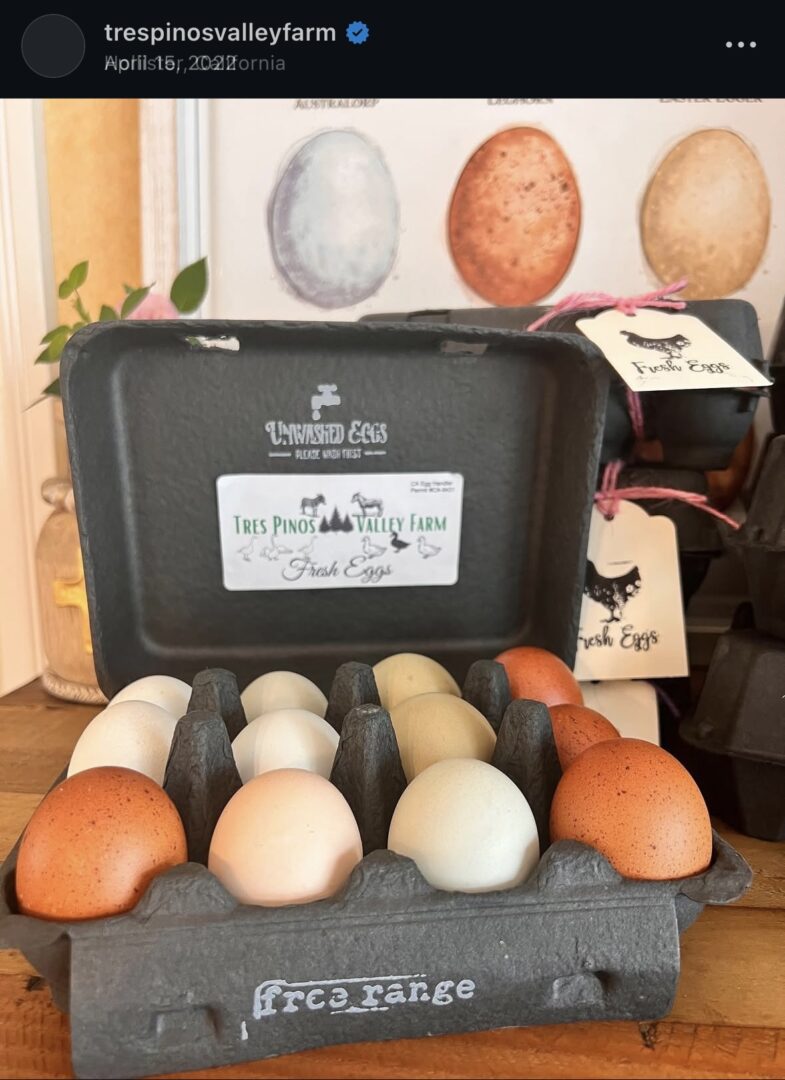 Carton of assorted fresh farm eggs.