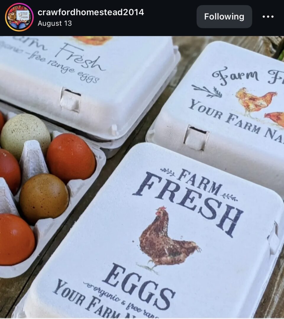 Farm fresh eggs in cartons and tray.