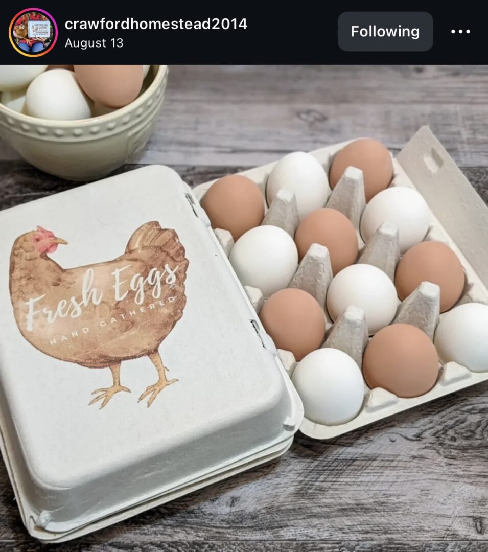 Eggs in carton and bowl on table.