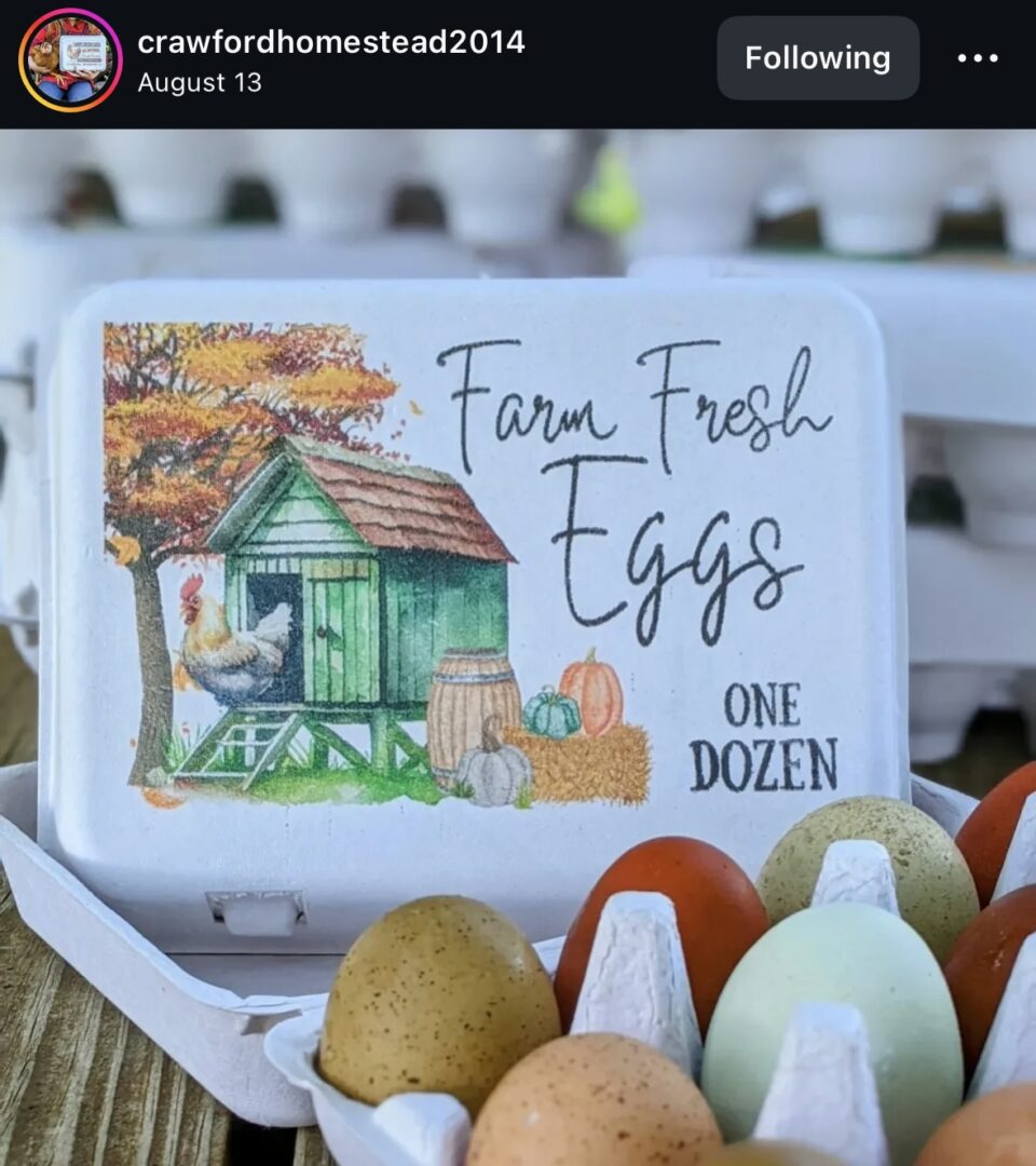 Farm fresh eggs carton with colorful eggs.
