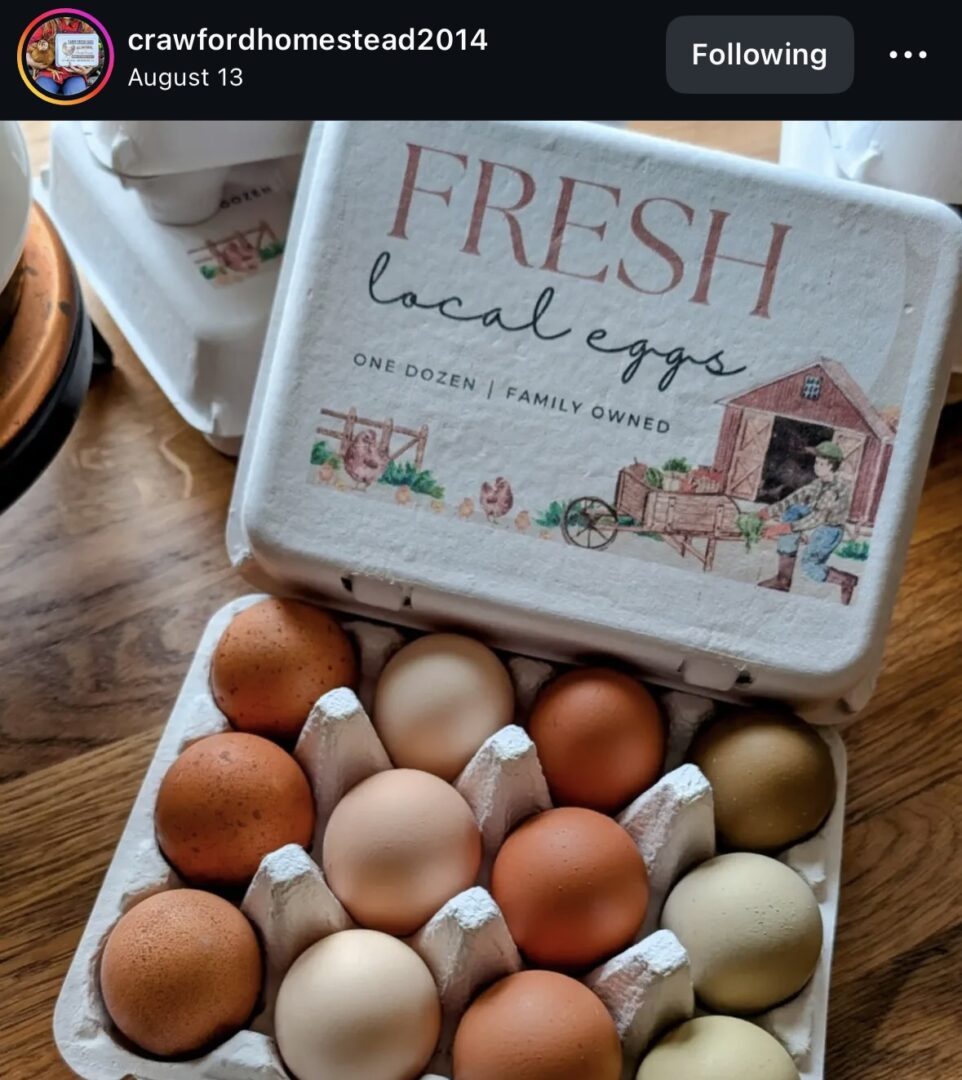 Carton of fresh, assorted local eggs.