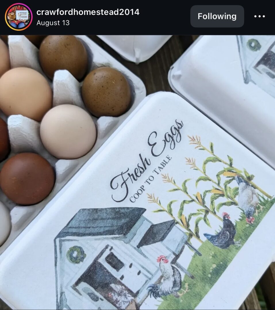 Egg cartons with farm-themed design.