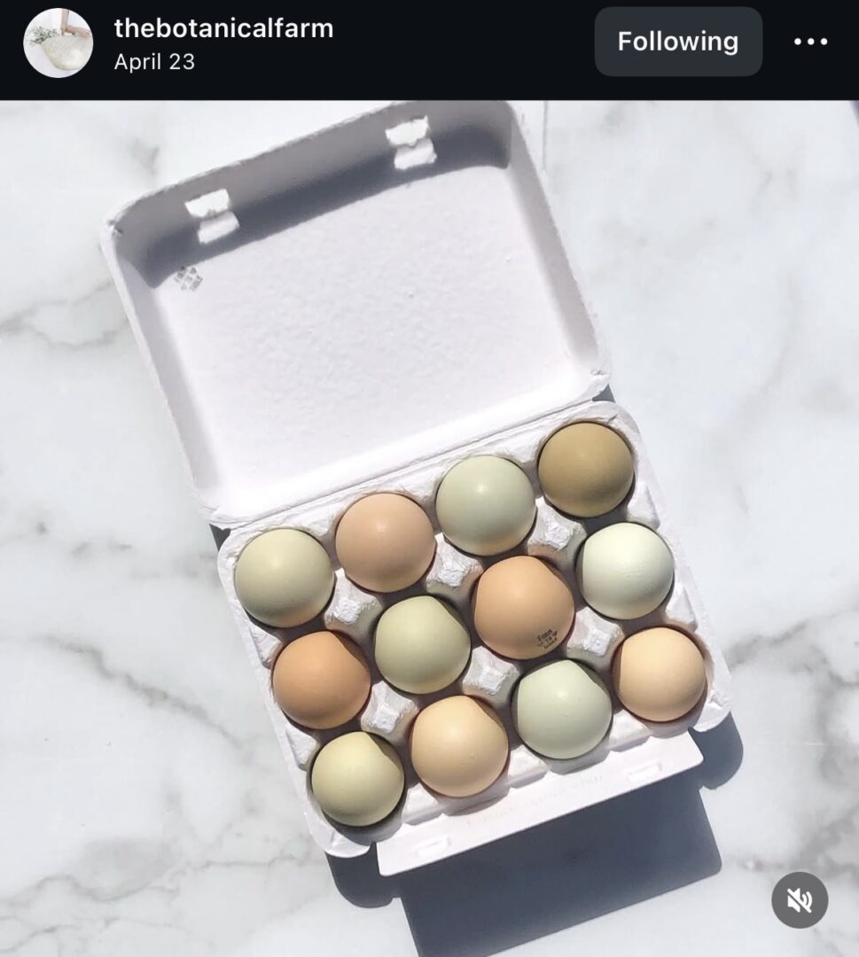 Carton of assorted pastel-colored eggs.