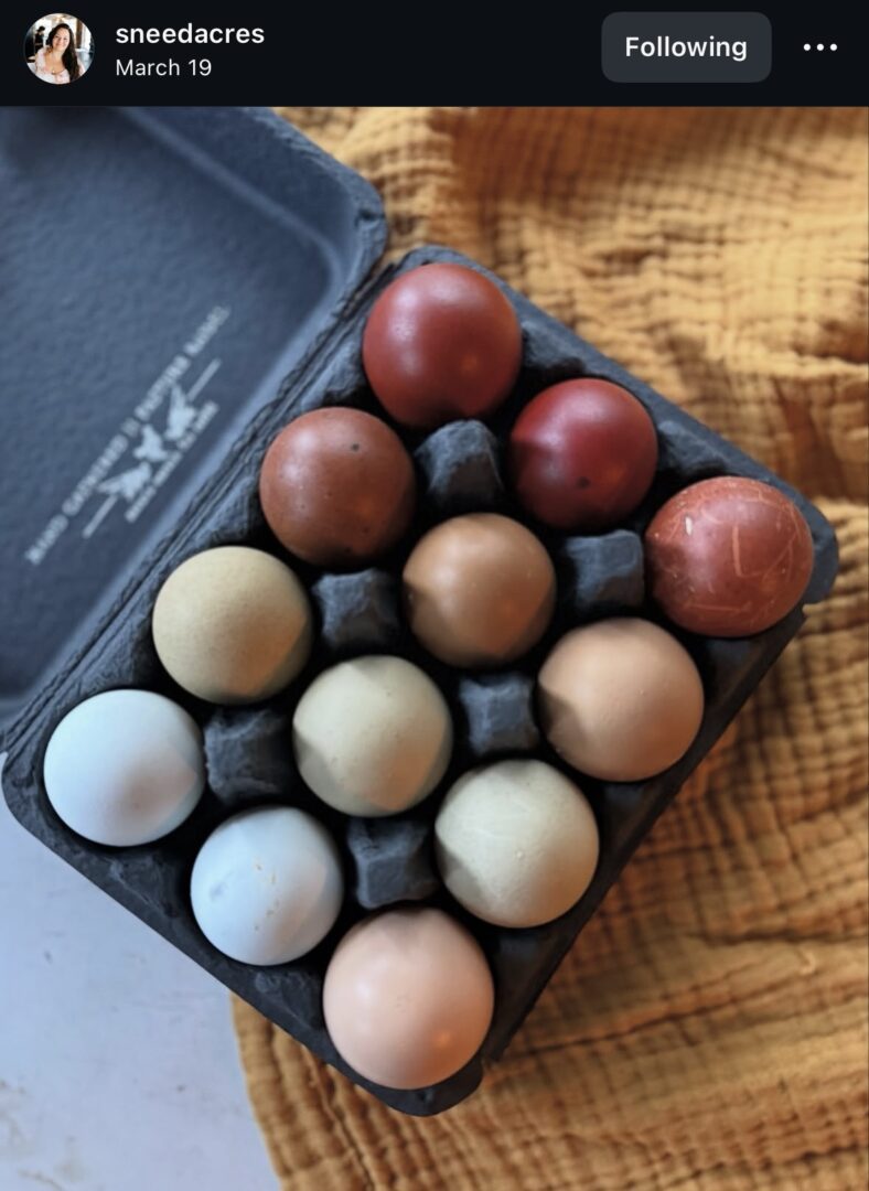 Carton of assorted colorful eggs on cloth.