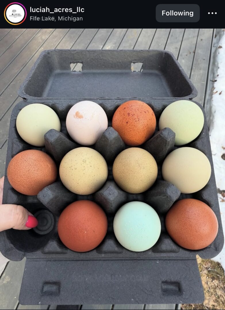 Carton with multicolored eggs on deck.