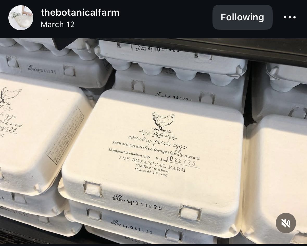 Egg cartons stacked on store shelf.