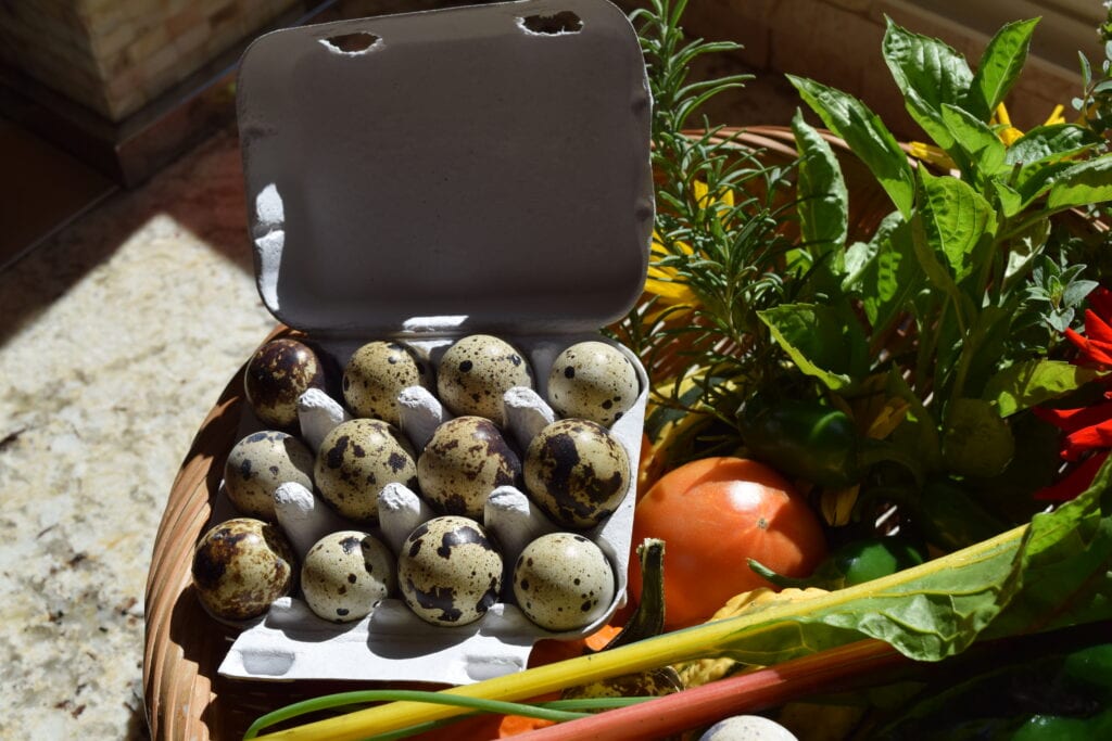 Quail Eggs