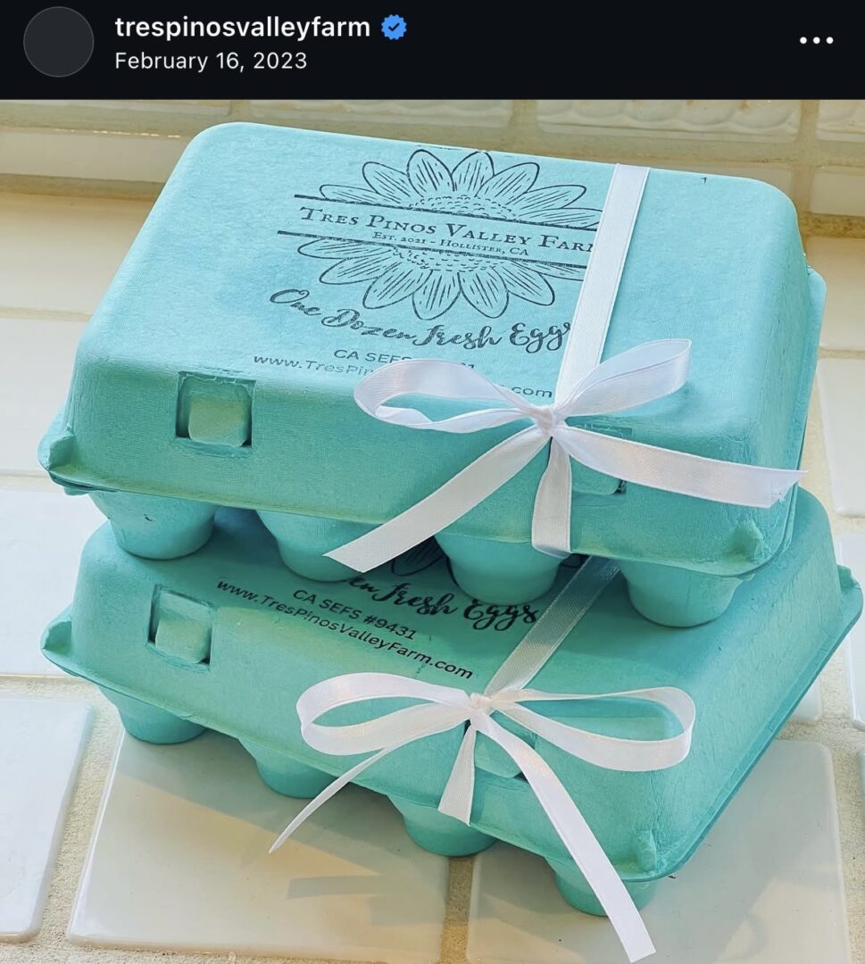 Two decorated egg cartons with ribbons.