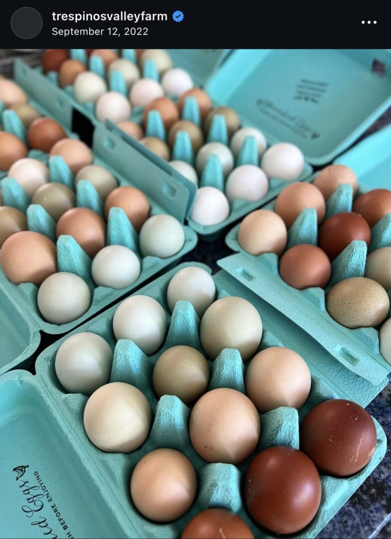 Cartons of assorted colored eggs displayed.