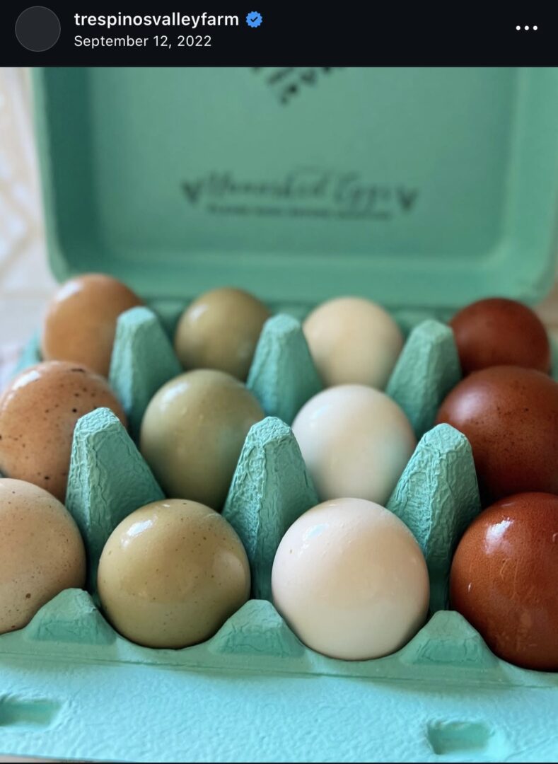 Colorful eggs in a blue carton.