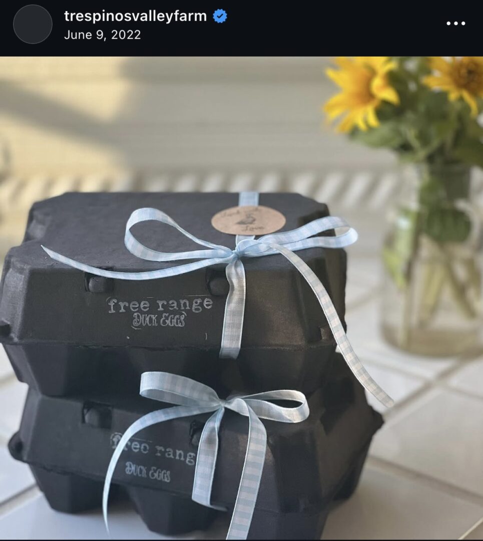 Egg cartons with ribbons beside sunflowers.