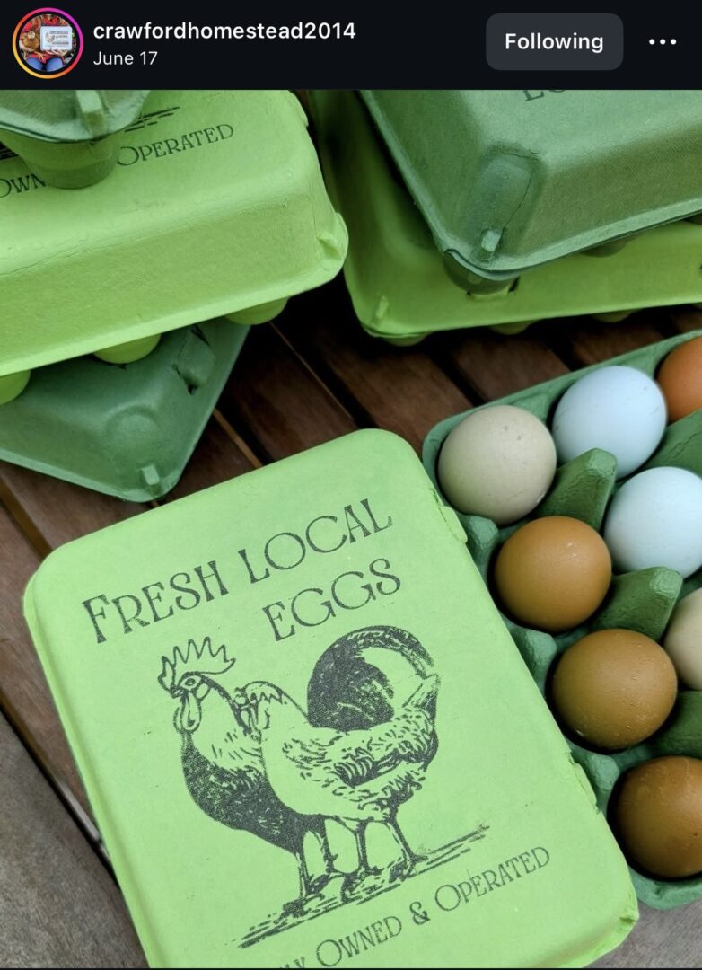 Green cartons of fresh local eggs.