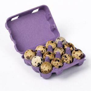 purple quail egg cartons with eggs inside