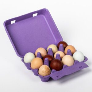 Open purple vintage-style 12-egg chicken carton filled with eggs.