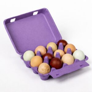 purple vintage egg cartons with eggs inside