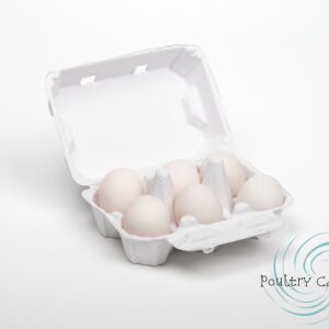 Poultry Cartons