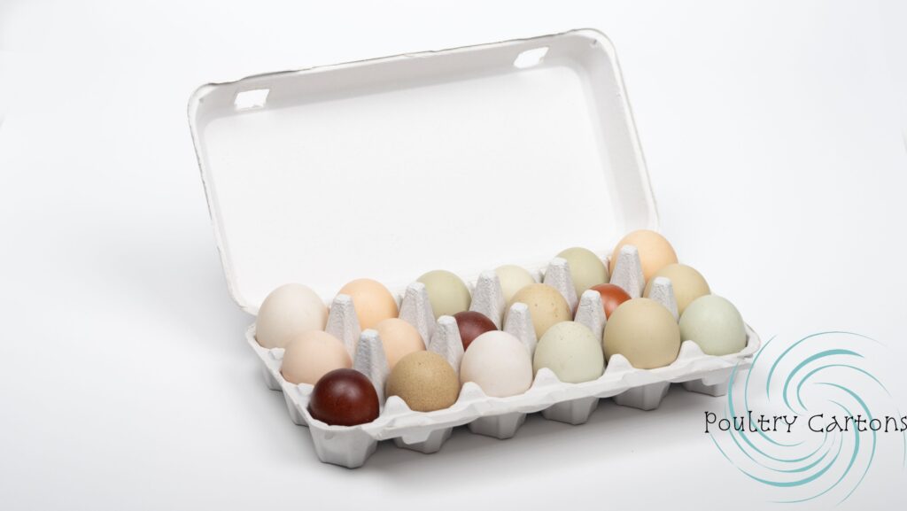 A carton of variously colored eggs against a white background.