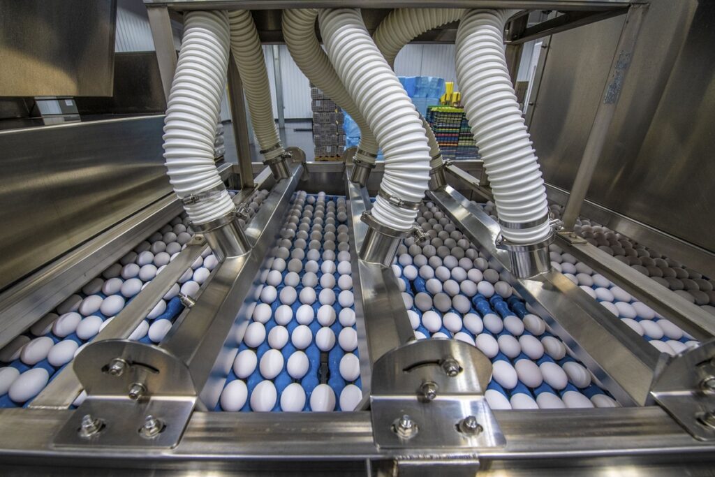 Shell Egg Graders perform sanitation pre-op inspections