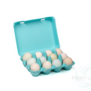 Poultry Cartons
