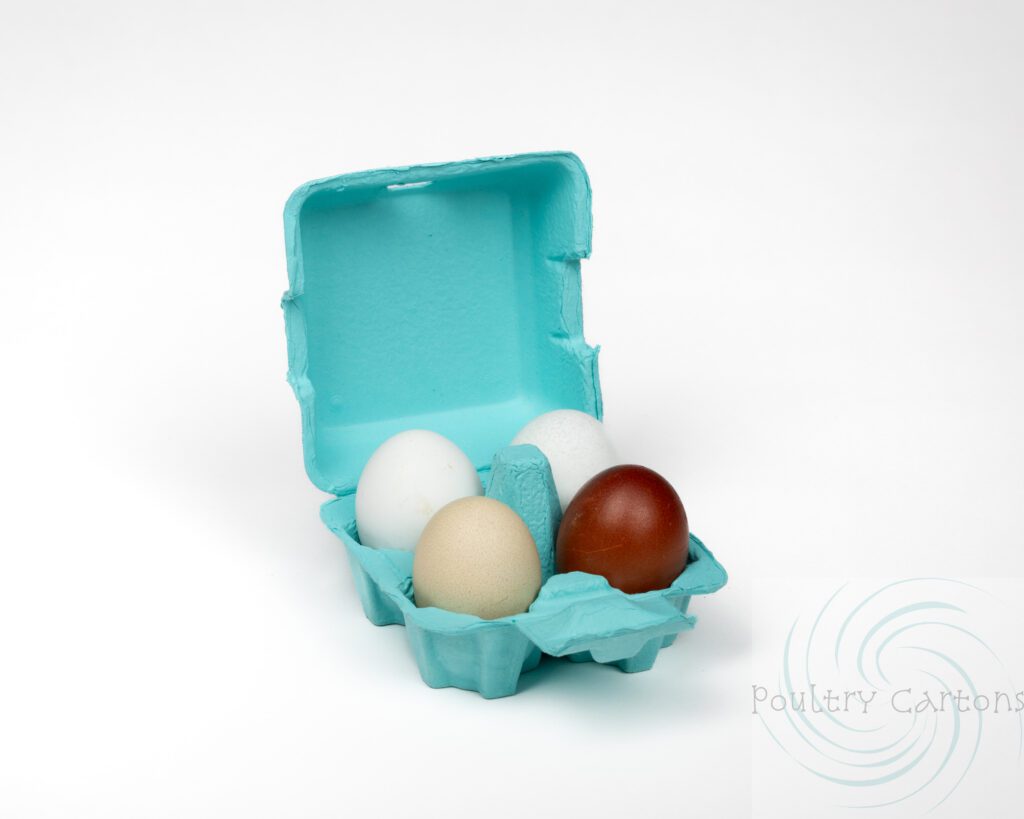 Poultry Cartons turquoise 4 egg carton with eggs