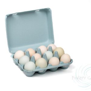 A carton of Blue Mist Bantam Square Paper Pulp Chicken Egg Cartons (12 eggs) on a white background.