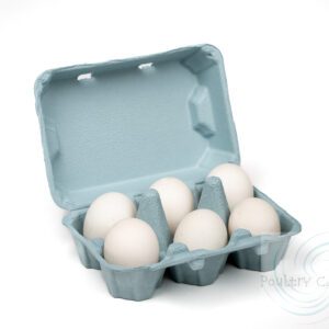 Half a dozen white duck eggs in a Blue Mist Duck and/or Turkey Egg Cartons (6 eggs).