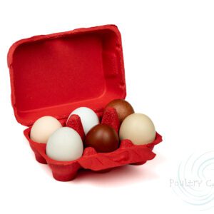 Assorted eggs in a Poppy Red Paper Pulp Chicken Egg Cartons (6 eggs) against a white background.
