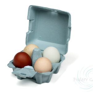 Four eggs of various colors in a Blue Mist Paper Pulp Chicken Egg Cartons (4 eggs).