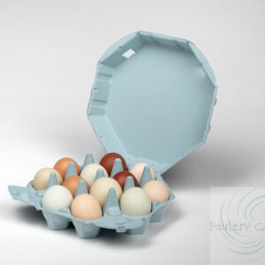 A carton of various colored eggs with the lid open against a white background, designed as a Blue Mist Octagon Paper Pulp Chicken Egg Cartons (12 eggs).