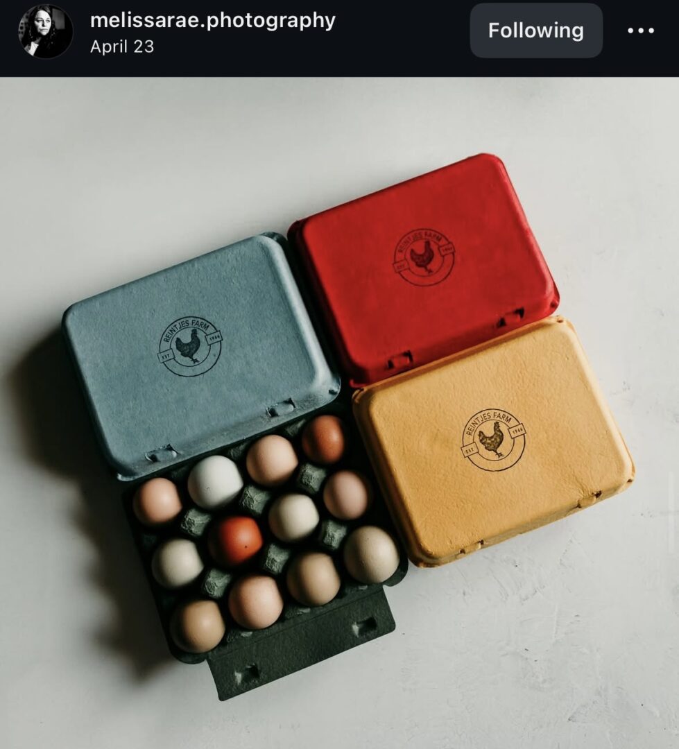 Colorful egg cartons with assorted eggs inside.