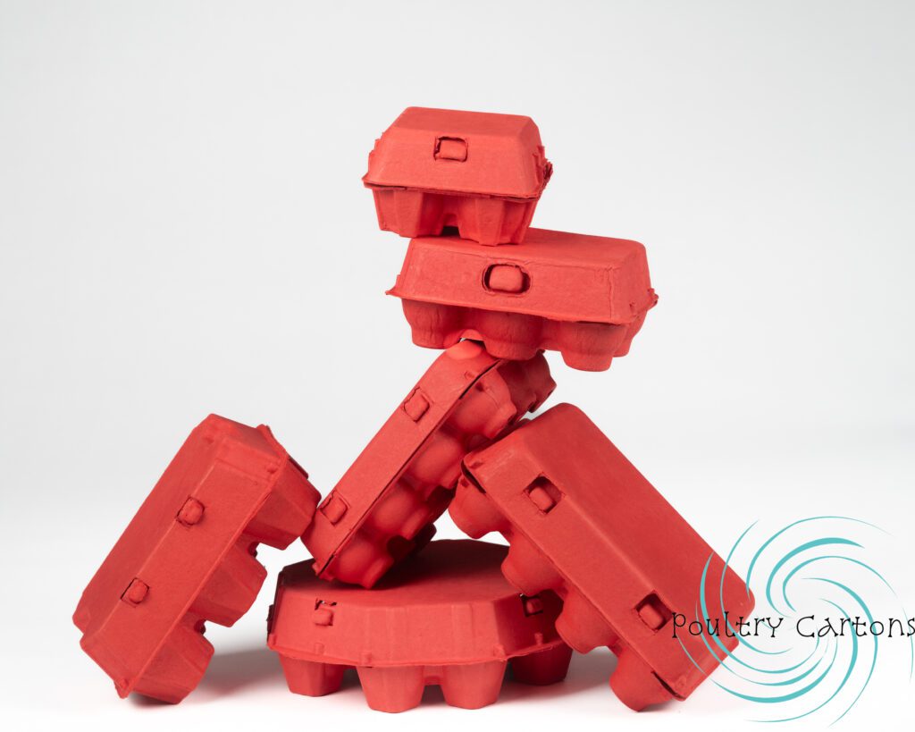 A bunch of colorful egg boxed kept together with white background