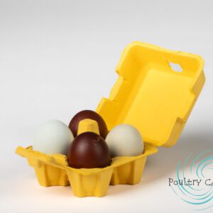 An open Sunny Side Up Yellow Paper Pulp Chicken Egg Cartons (4 eggs) with one brown and three white eggs on a white background.