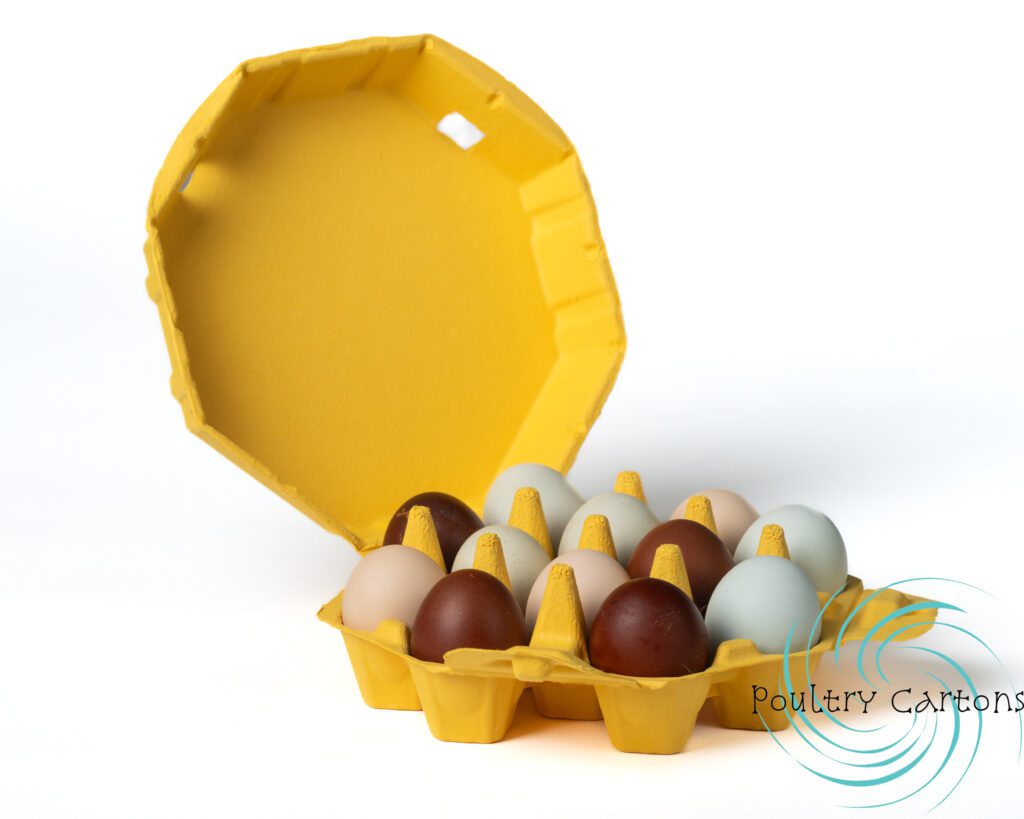 A variety of Sunny Side Up Yellow Octagon Paper Pulp Chicken Egg Cartons (12 eggs) against a white background.