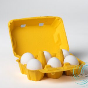 Sunny Side Up Yellow Duck and/or Turkey Egg Cartons with six white eggs on a white background.