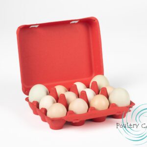 An open Poppy Red Bantam Square Paper Pulp Chicken Egg carton with various colored eggs on a white background.