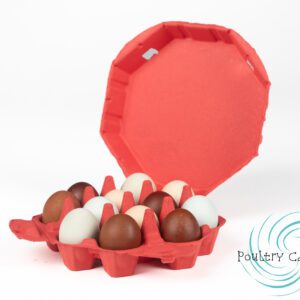 A Poppy Red Octagon Paper Pulp Chicken Egg Carton containing a mix of brown and white eggs with its lid open against a white background.