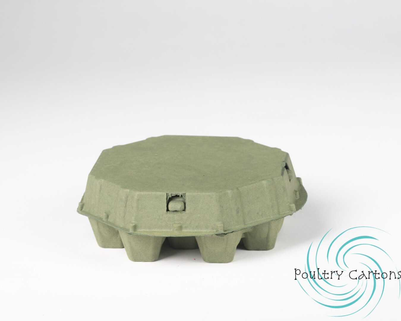 Closed Kelsey Green Octagon Paper Pulp Chicken Egg Carton on a white background.