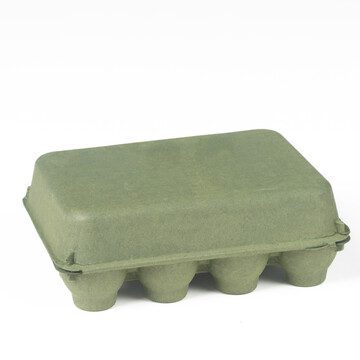 Closed Kelsey green vintage-style 12-egg chicken carton, back view.