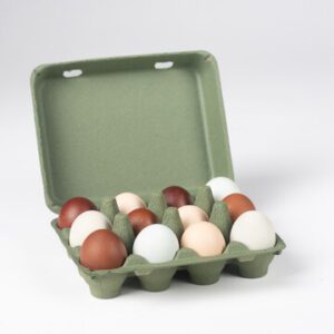 Open Kelsey green vintage-style 12-egg chicken carton filled with eggs.