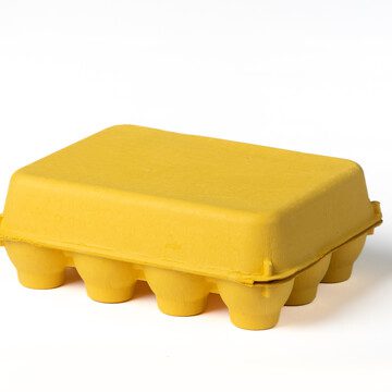 Closed yellow vintage-style 12-egg chicken carton, back view.