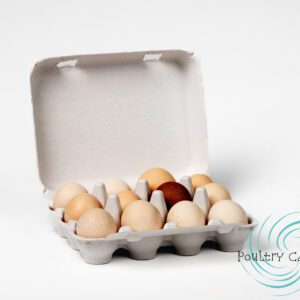 Brown and white eggs in a carton.