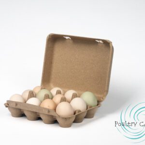 Vintage egg carton with eggs.