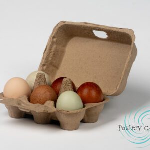 Colorful eggs in a cardboard carton.