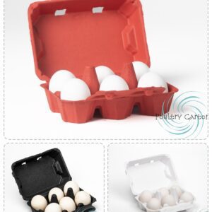 Red, black, and white egg cartons with eggs.