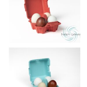Colored eggs in colorful cartons.
