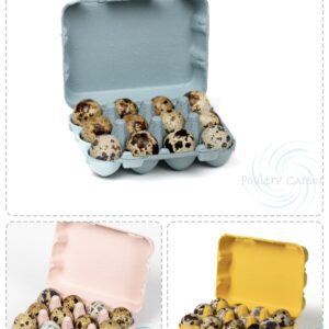 Quail egg cartons in three colors