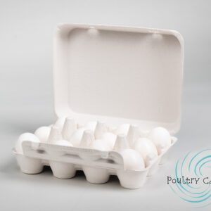 dozen duck egg carton on display