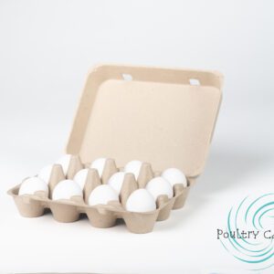Carton of white eggs on white background.