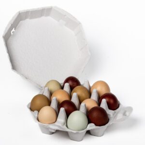 Carton of assorted colored eggs.