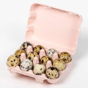 Light pink 12‑egg quail egg carton holding quail eggs